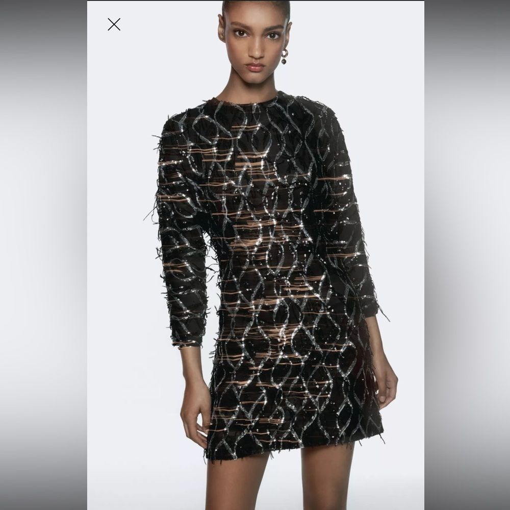 ZARA MINI DRESS WITH FRINGING AND SEQUINS